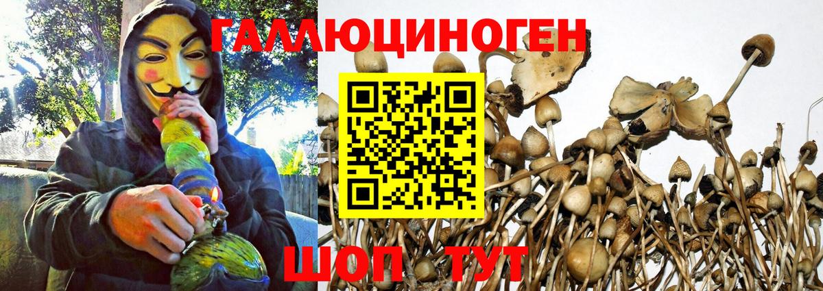 Псилоцибиновые грибы Psilocybine cubensis  Вход с VPN  Вологда  Галлюциногенные грибы ЛСД 