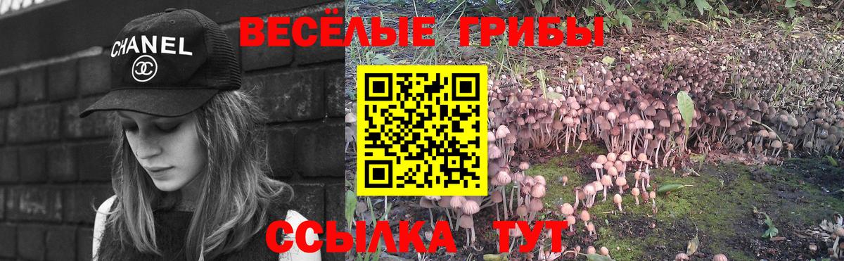 Псилоцибиновые грибы мухоморы Вологда
